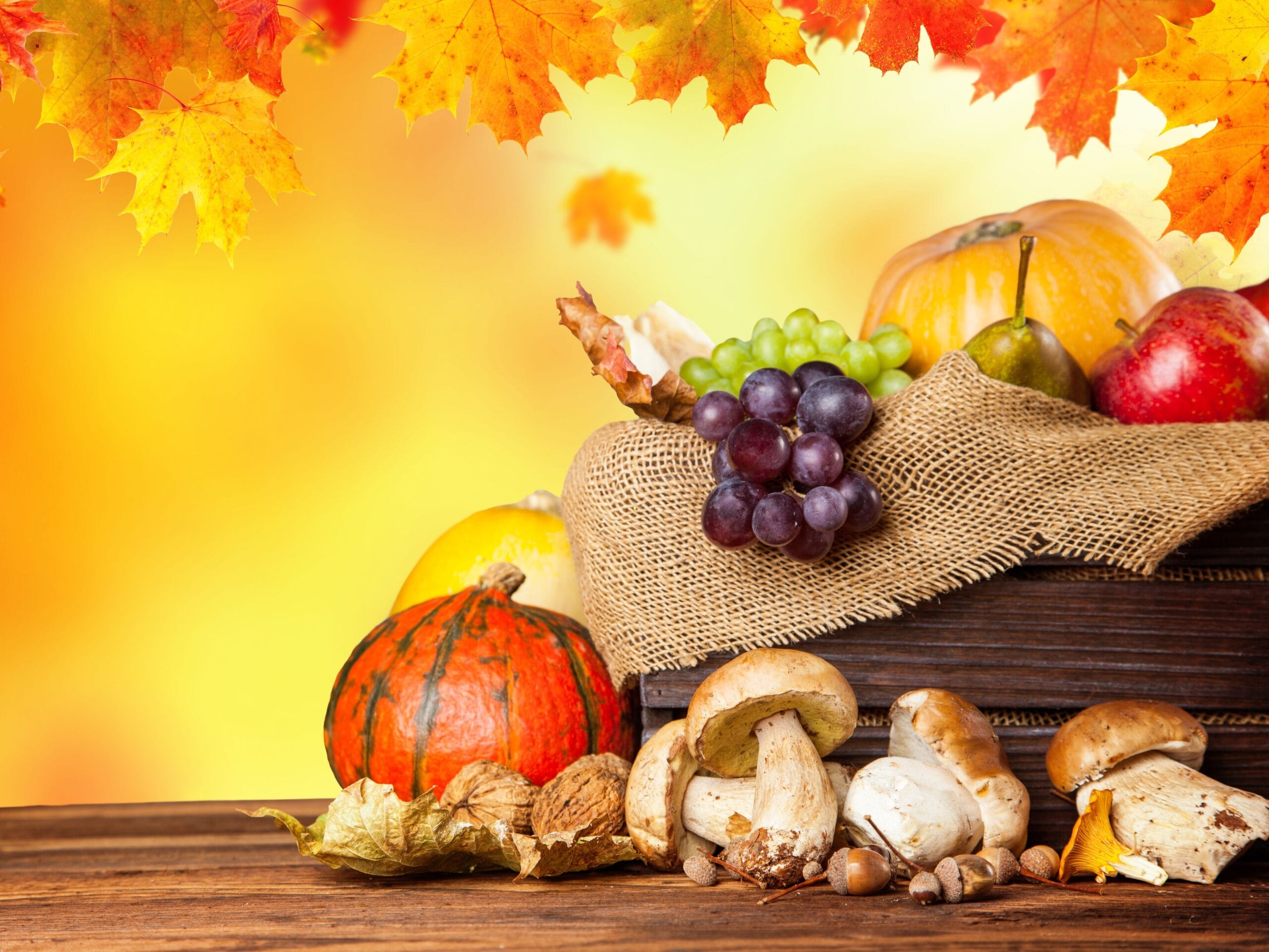 wp7577247-autumn-fruits-wallpapers